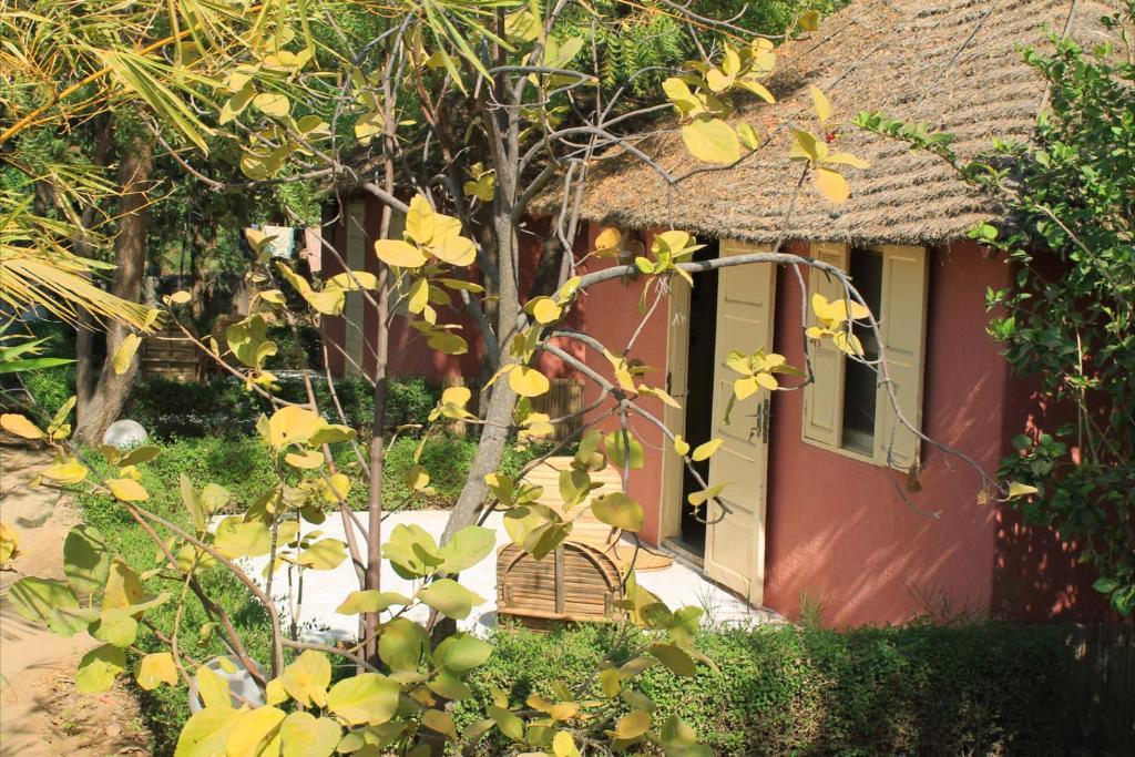 Lampsar Lodge Ndiongo Exteriér fotografie