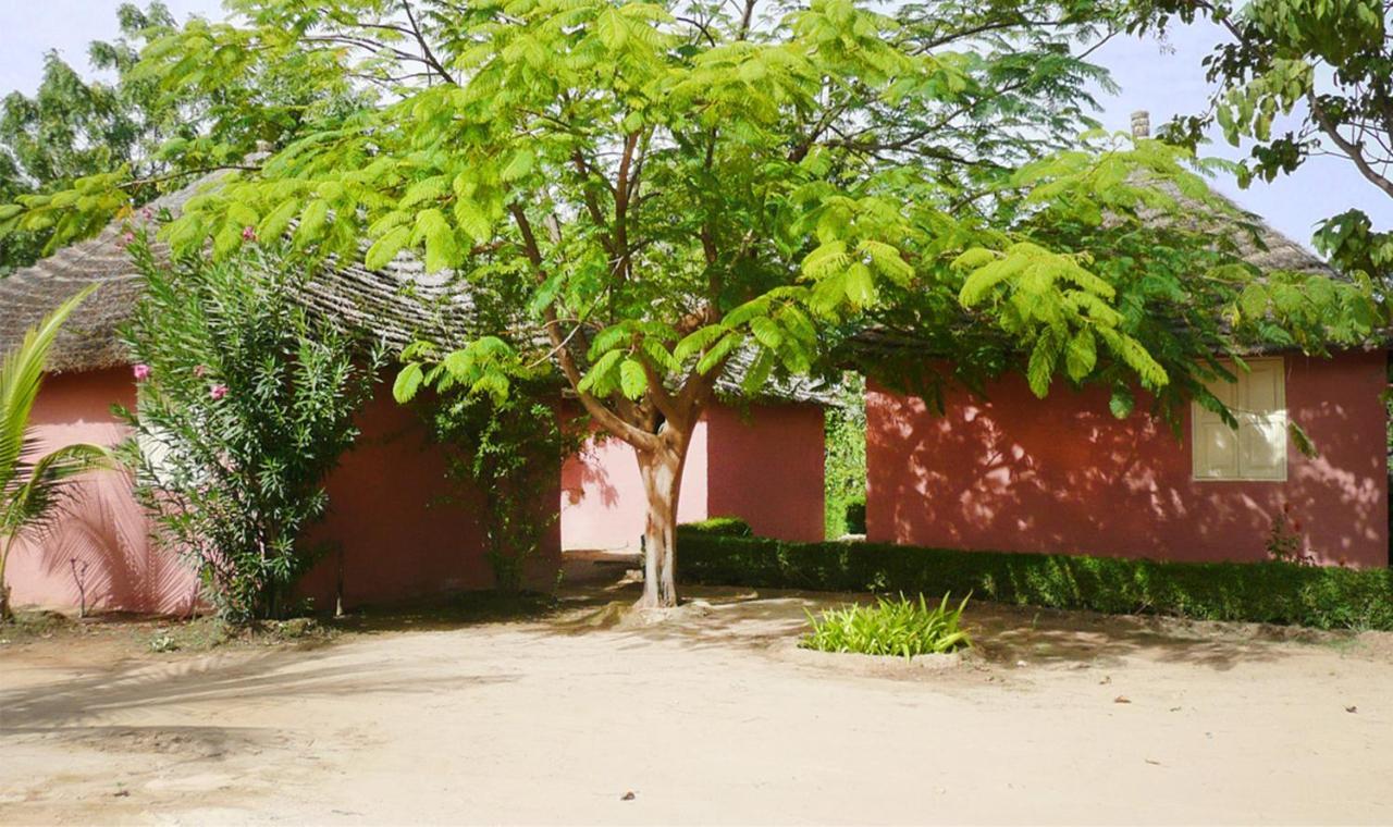 Lampsar Lodge Ndiongo Pokoj fotografie